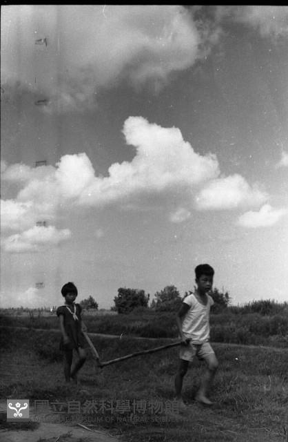 1950至2006年臺灣常民生活藏品圖，第1張