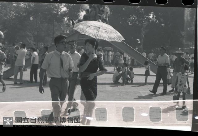 1950至2006年臺灣常民生活藏品圖，第1張