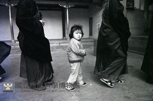 1950至2006年臺灣常民生活藏品圖，第1張