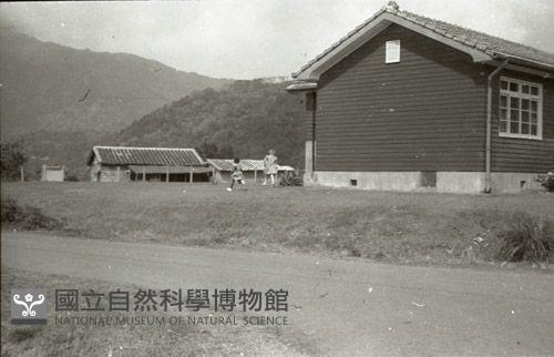 1950至2006年臺灣常民生活藏品圖，第1張