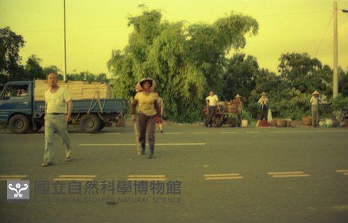 1950至2006年臺灣常民生活藏品圖，第1張