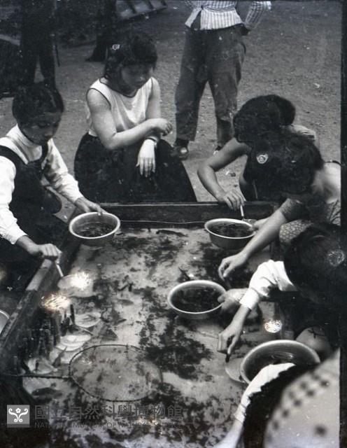 1950至2006年台灣常民生活藏品圖，第1張