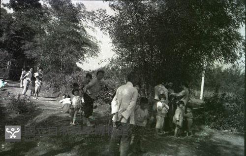 1950至2006年臺灣常民生活藏品圖，第1張