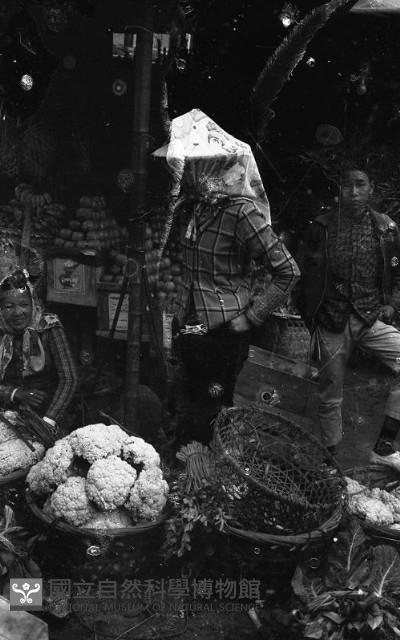 1950至2006年臺灣常民生活藏品圖，第1張