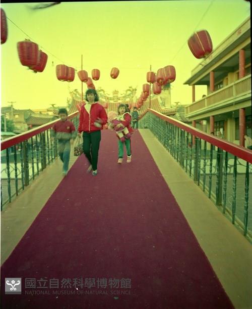 1950至2006年臺灣常民生活藏品圖，第1張