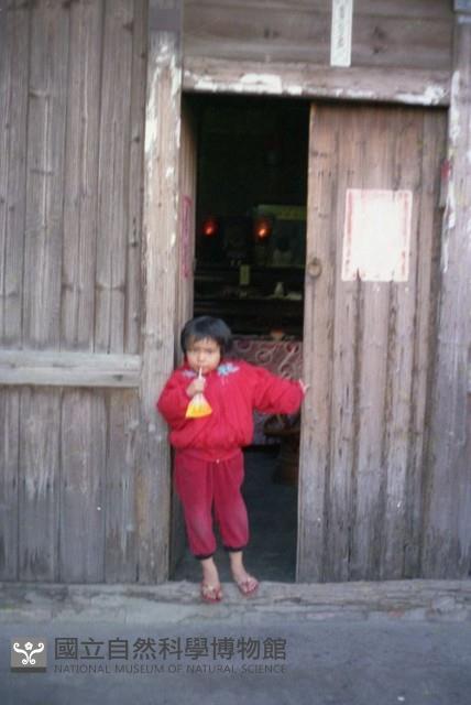 1950至2006年臺灣常民生活藏品圖，第1張