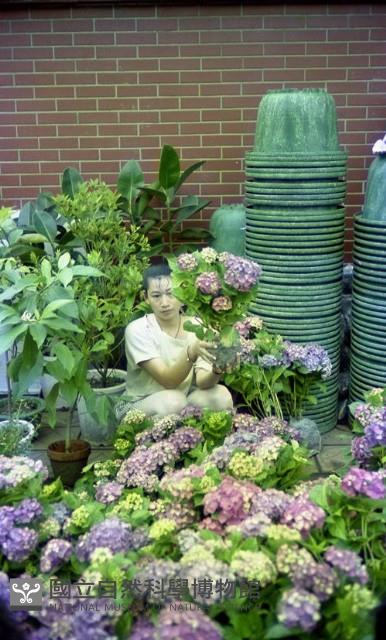 1950至2006年臺灣常民生活藏品圖，第1張