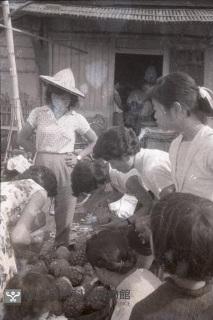 1950至2006年臺灣常民生活藏品圖，第1張