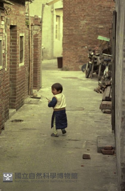 1950至2006年臺灣常民生活藏品圖，第1張