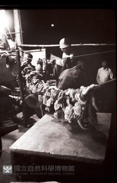 1950至2006年臺灣常民生活藏品圖，第1張