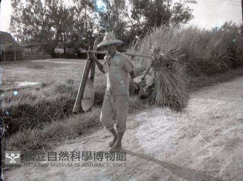 1950至2006年臺灣常民生活藏品圖，第1張