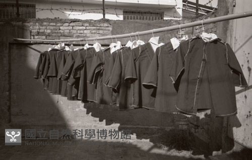 1950至2006年臺灣常民生活藏品圖，第1張