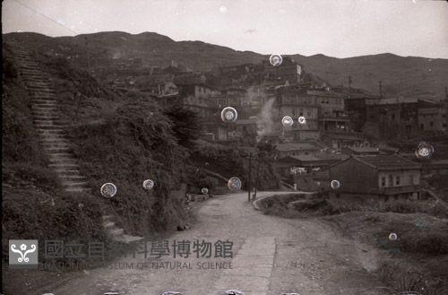 1950至2006年臺灣常民生活藏品圖，第1張