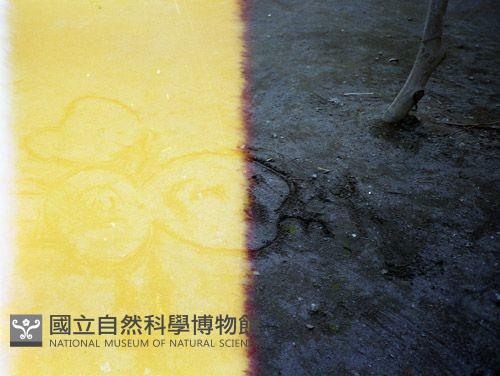 1950至2006年臺灣常民生活藏品圖，第1張