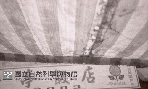 1950至2006年臺灣常民生活藏品圖，第1張