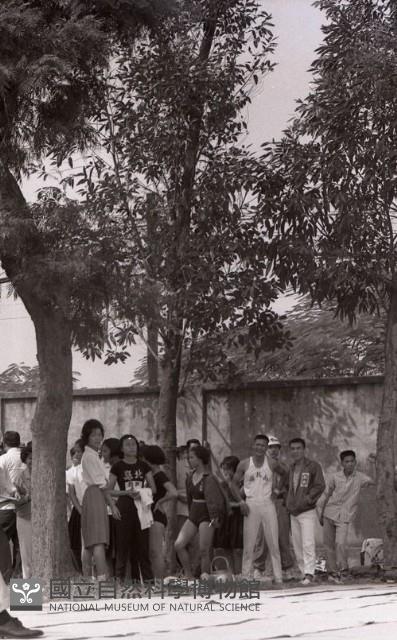 1950至2006年臺灣常民生活藏品圖，第1張