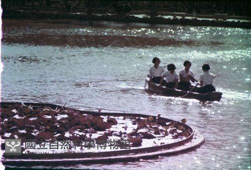 1950至2006年臺灣常民生活藏品圖，第1張