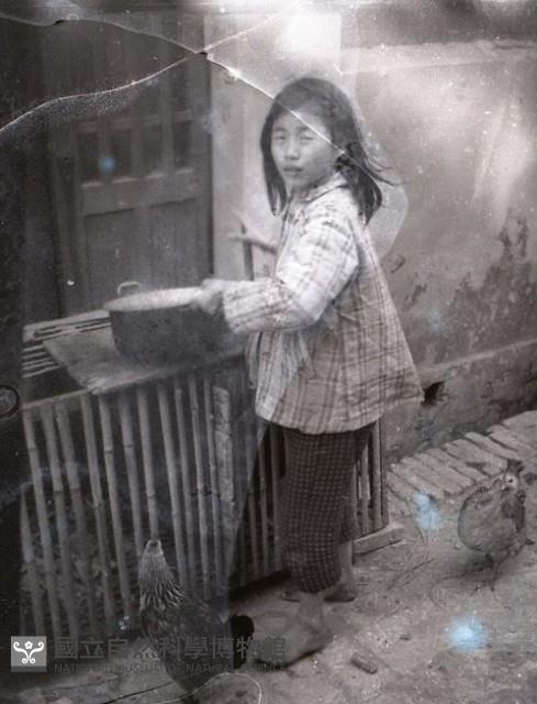 1950至2006年臺灣常民生活藏品圖，第1張