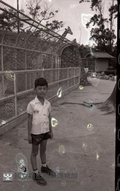 1950至2006年臺灣常民生活藏品圖，第1張