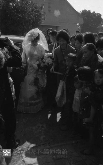 1950至2006年臺灣常民生活藏品圖，第1張