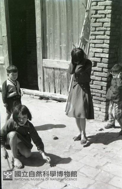 1950至2006年臺灣常民生活藏品圖，第1張
