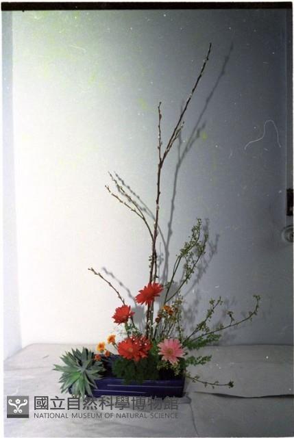 1950至2006年臺灣常民生活藏品圖，第1張