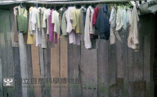 1950至2006年臺灣常民生活藏品圖，第1張