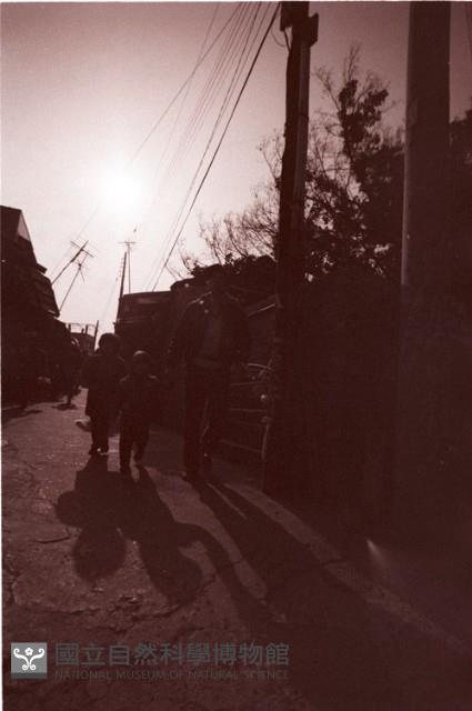 1950至2006年臺灣常民生活藏品圖，第1張