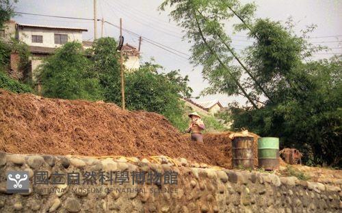 1950至2006年臺灣常民生活藏品圖，第1張