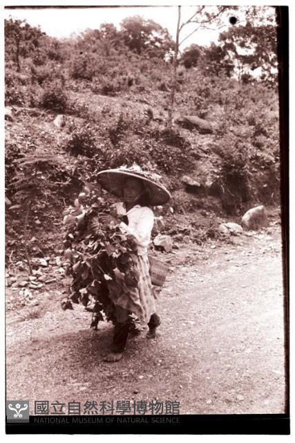 1950至2006年臺灣常民生活藏品圖，第1張