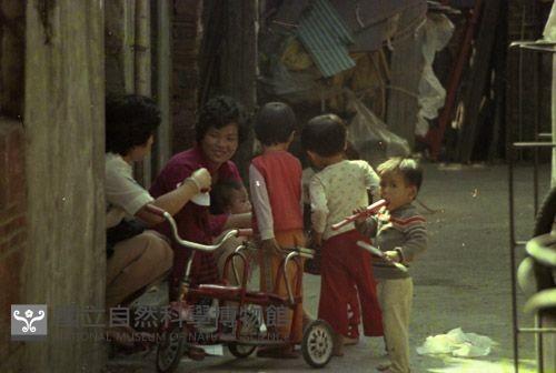 1950至2006年臺灣常民生活藏品圖，第1張