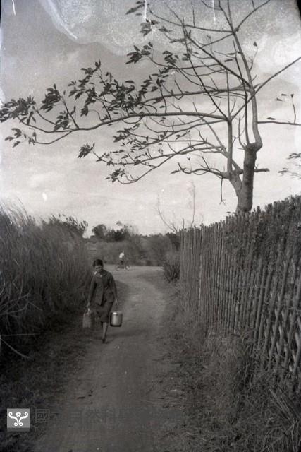 1950至2006年臺灣常民生活藏品圖，第1張