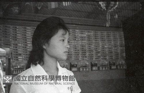 1950至2006年台灣常民生活藏品圖，第1張