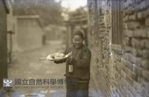 1950至2006年臺灣常民生活藏品圖，第1張