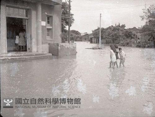 1950至2006年臺灣常民生活藏品圖，第1張