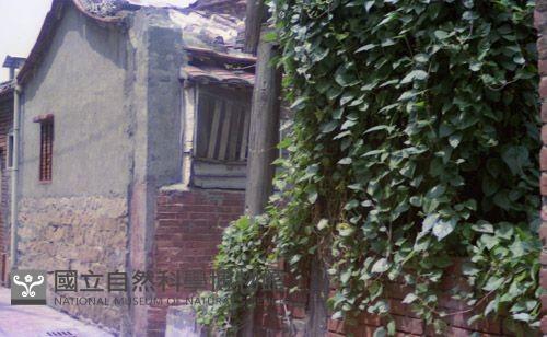 1950至2006年臺灣常民生活藏品圖，第1張