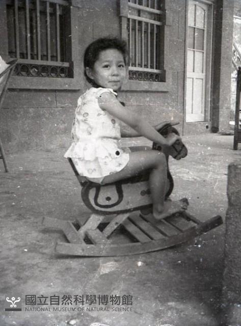 1950至2006年臺灣常民生活藏品圖，第1張