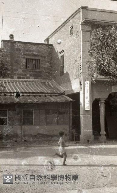 1950至2006年臺灣常民生活藏品圖，第1張