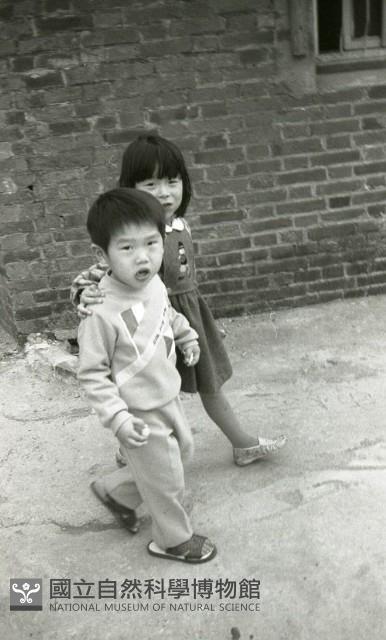 1950至2006年臺灣常民生活藏品圖，第1張