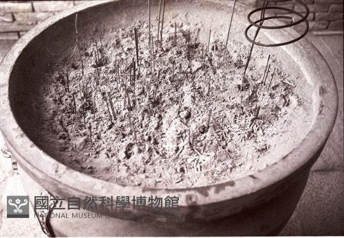 1950至2006年臺灣常民生活藏品圖，第1張