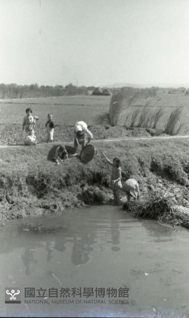 1950至2006年臺灣常民生活藏品圖，第1張