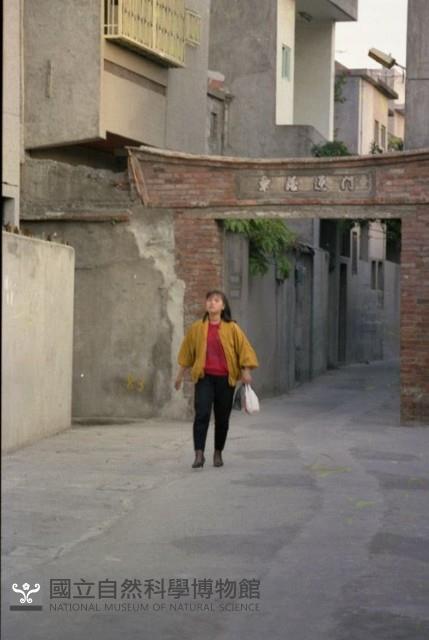 1950至2006年臺灣常民生活藏品圖，第1張