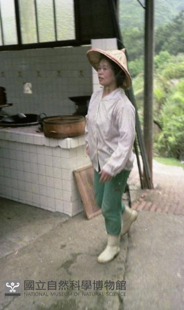 1950至2006年臺灣常民生活藏品圖，第1張