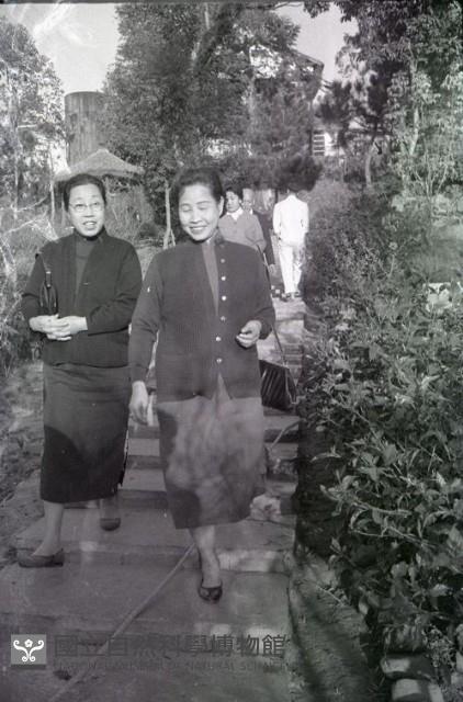 1950至2006年臺灣常民生活藏品圖，第1張