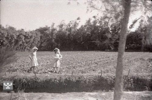 1950至2006年臺灣常民生活藏品圖，第1張