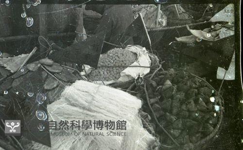 1950至2006年臺灣常民生活藏品圖，第1張