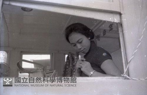 1950至2006年臺灣常民生活藏品圖，第1張