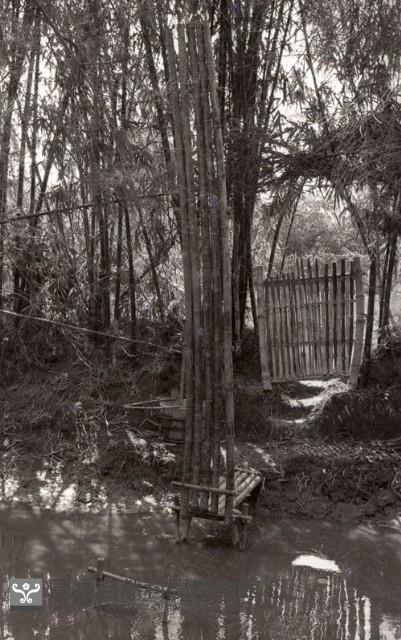 1950至2006年臺灣常民生活 藏品圖，第1張