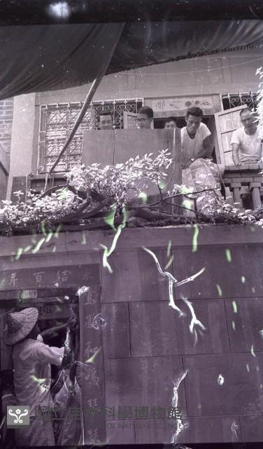 1950至2006年臺灣常民生活藏品圖，第1張