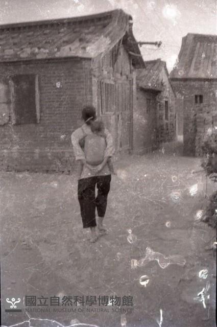 1950至2006年臺灣常民生活藏品圖，第1張